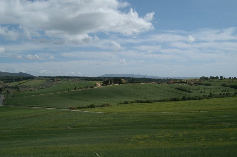 BIBBONA CAMPAGNA